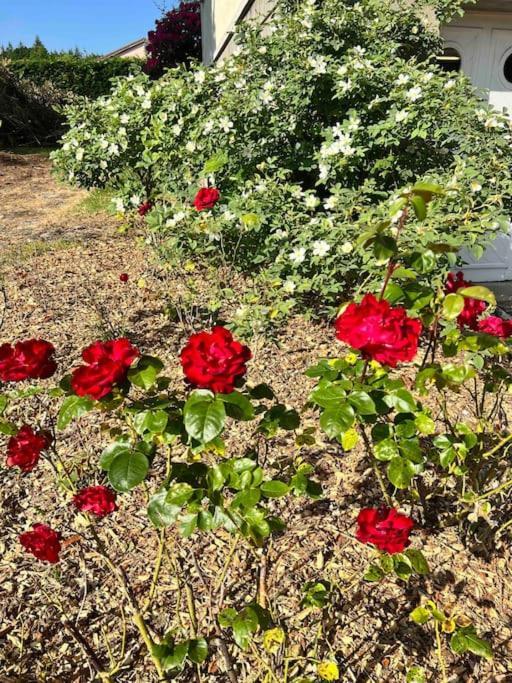 Gite De La Petite Fourmy Saint-Sulpice-les-Feuilles Extérieur photo